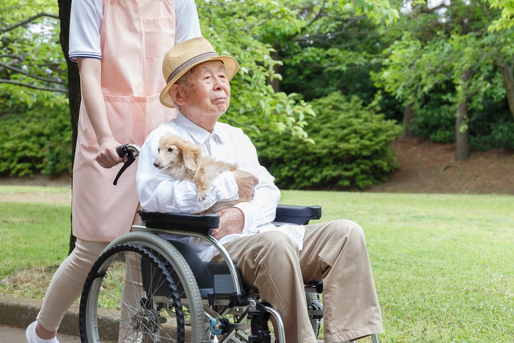 車椅子に乗って犬を抱えている高齢男性を、介護士が後ろから押している様子